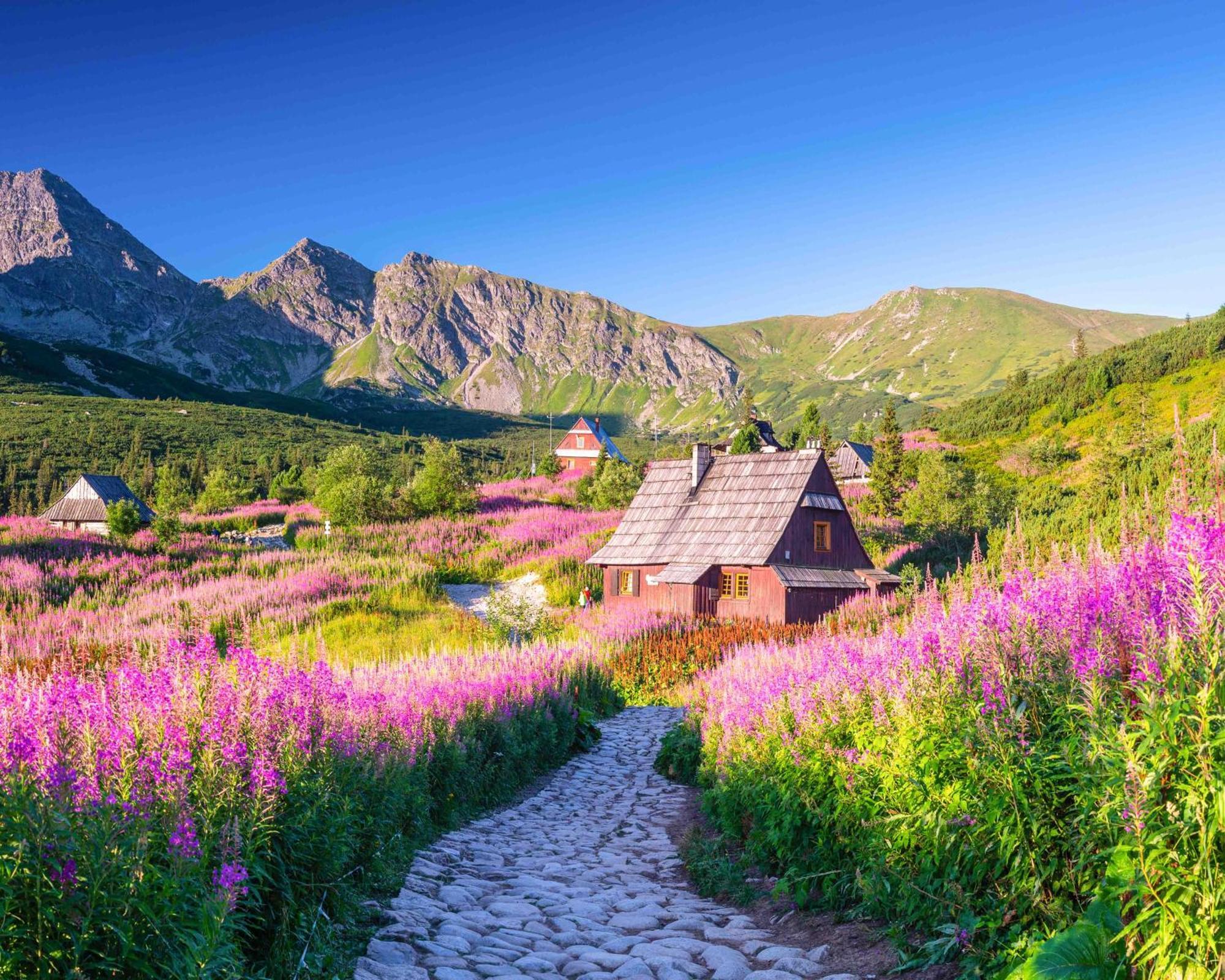 Prazdninove Byty U Kamarata Габовка Экстерьер фото